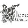 Wilcze Gronie 2017