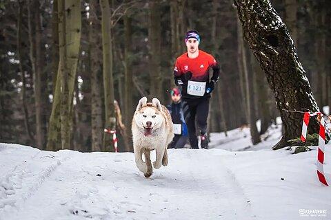 Krzysztof during Pogórzański Bieg Górski - Zima 2024