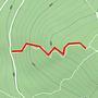 Course map