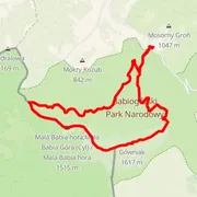 Course map
