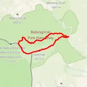 Course map