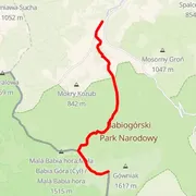 Course map