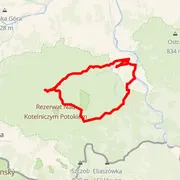 Course map