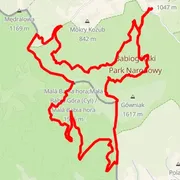 Course map