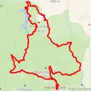 Course map