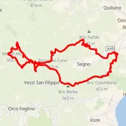 Course map