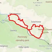 Course map