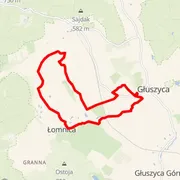 Course map