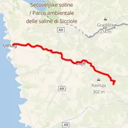 Course map