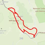 Course map