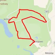 Course map