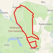 Course map