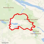 Course map
