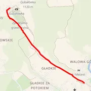 Course map
