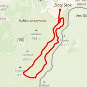 Course map