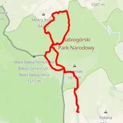 Course map