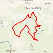 Course map
