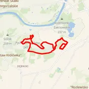 Course map