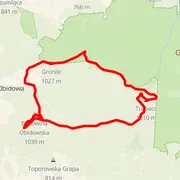Course map