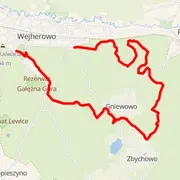 Course map