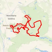 Course map