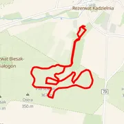 Course map