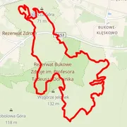 Course map