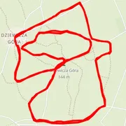 Course map