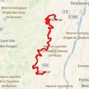 Course map