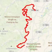 Course map