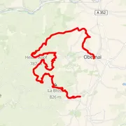 Course map