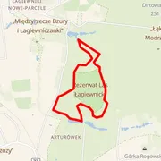 Course map