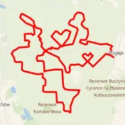 Course map