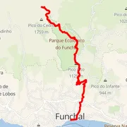 Course map