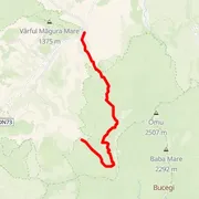 Course map