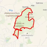 Course map