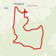 Course map