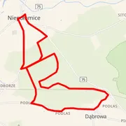 Course map