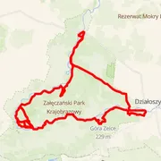 Course map