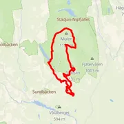 Course map