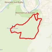 Course map