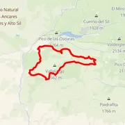 Course map