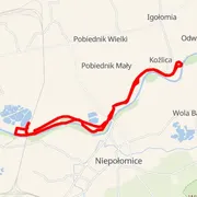 Course map