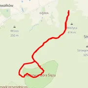 Course map