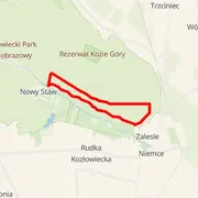 Course map
