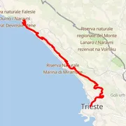 Course map