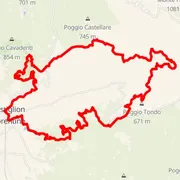 Course map