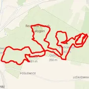 Course map
