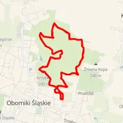 Course map