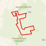Course map